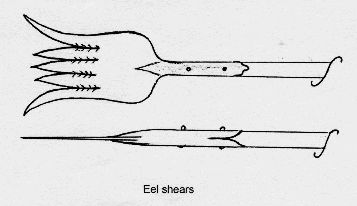 Eel shears