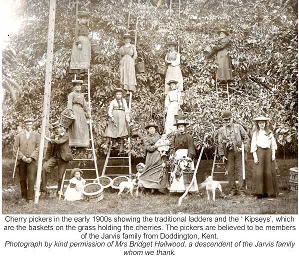 cherry pickers